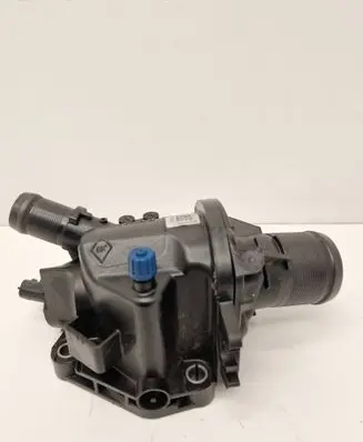 Renault Master III Thermostat 110604371R 2102011233