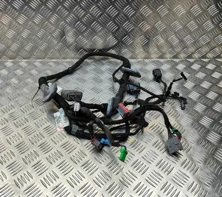 Land Rover Range Rover Evoque L538 Front door wiring loom EJ3214630BED