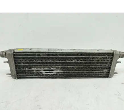 Mercedes-Benz S W140 Engine oil radiator 1405000000 A1405000000