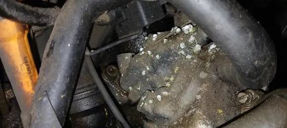 Oil filter mounting bracket