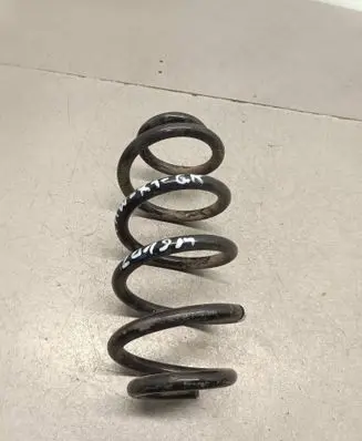 Rear coil spring