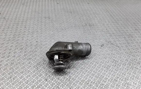 Thermostat/thermostat housing