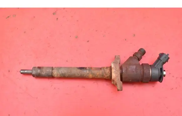 Citroen C4 Grand Picasso Fuel injector 0445110297