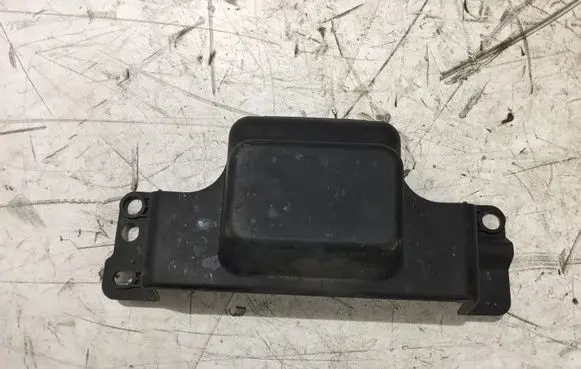 Engine bonnet/hood lock trim molding