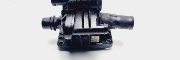 Thermostat/thermostat housing
