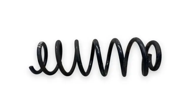 Rear coil spring