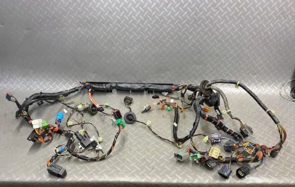 Aston Martin DB9 Other wiring loom