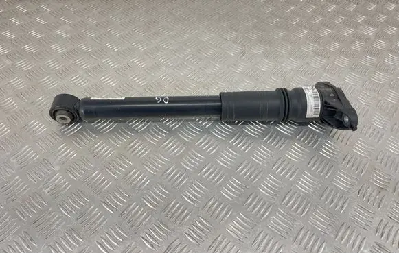 Peugeot 2008 II Rear shock absorber/damper 9836658080 SA27000093