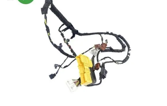 BMW 5 F10 F11 Front door wiring loom 4380893 9291731 9312120