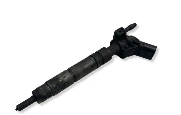 Mercedes-Benz R W251 Fuel injector A6420701387