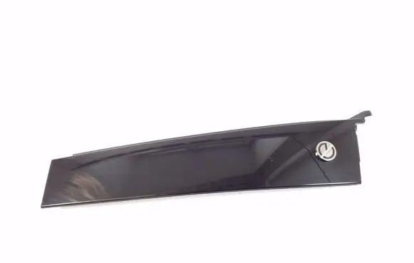 Other rear door trim element