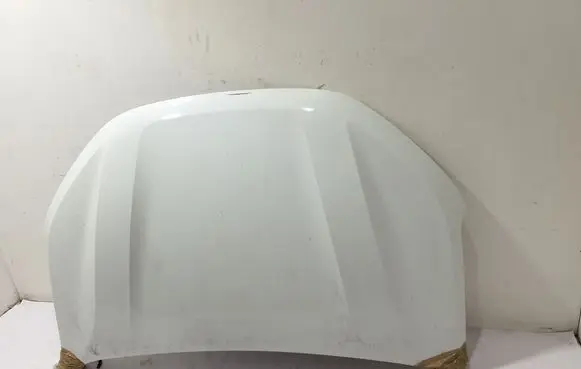 Engine bonnet/hood