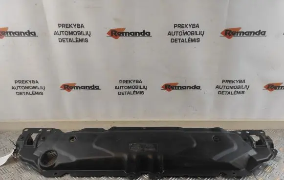 Engine bonnet/hood lock trim molding
