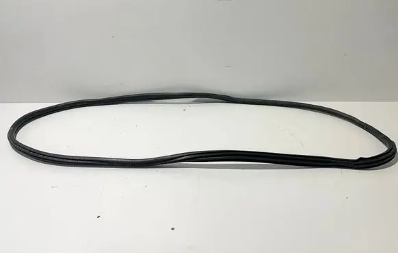 BMW 3 G20 G21 Rubber seal rear door 7407375 7497913