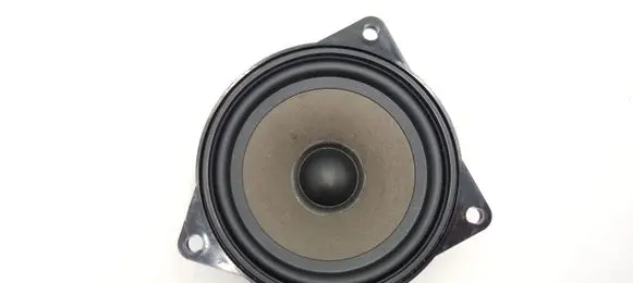BMW X5 E70 Rear door speaker 65139141494 9141494