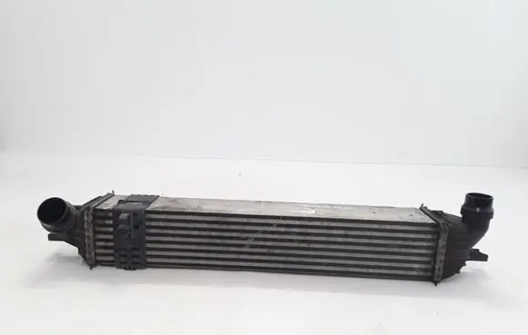 Renault Laguna III Intercooler radiator 144960001R