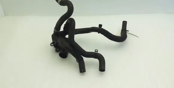 Thermostat/thermostat housing