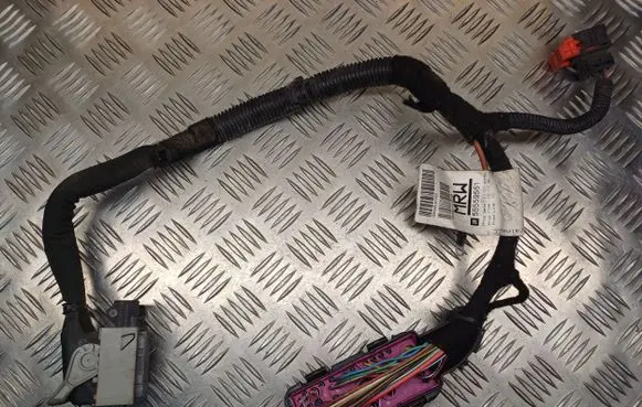 Opel Astra H Other wiring loom 55559551