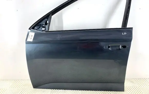 Skoda Fabia Mk3 (NJ) Front door 