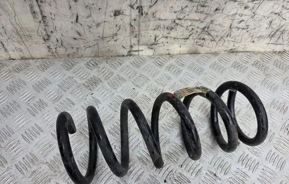 Rear coil spring