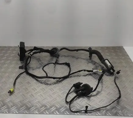 Audi A8 S8 D4 4H Front door wiring loom 4H0971030HJ 4H0971030A FTAB027259D