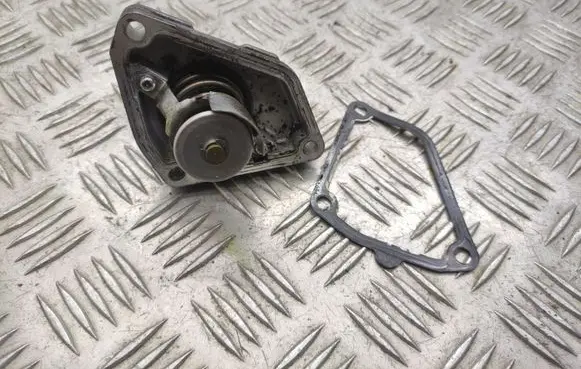 Thermostat/thermostat housing