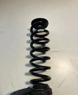 Rear coil spring