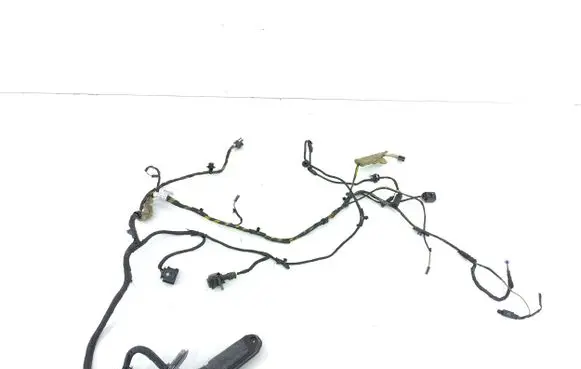 BMW 6 F06 Gran coupe Front door wiring loom 9255406 9255405 4827995