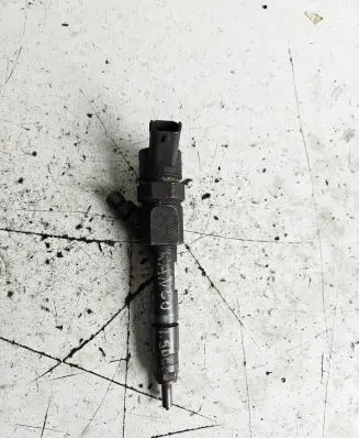 Renault Kangoo I Fuel injector 0445110144