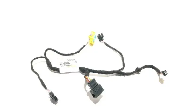 Audi A8 S8 D4 4H Other wiring loom 4H0971679C TAB010236AG