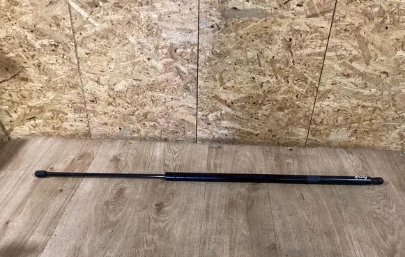 Tailgate/trunk strut/damper