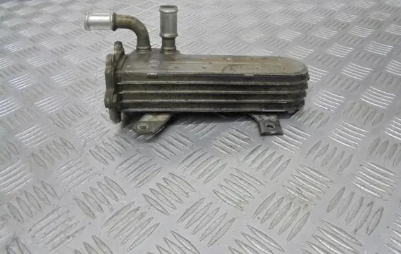 Volkswagen Golf IV EGR valve cooler 038131513AD