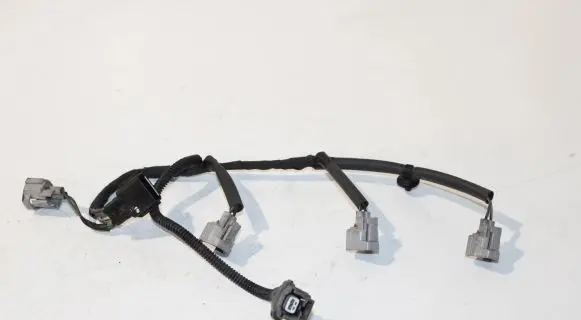 Renault Megane III Fuel injector wires 