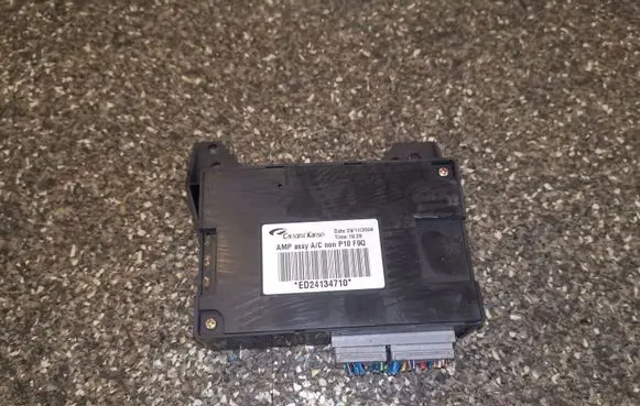 Nissan Primera Other control units/modules ED24134710