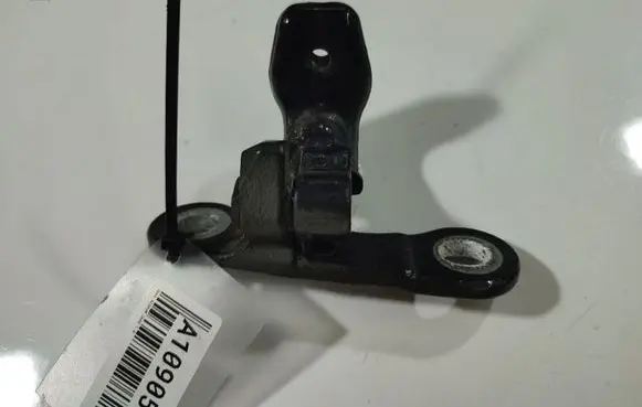 Opel Signum Rear door lower hinge