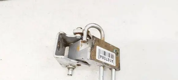 Rear door lower hinge