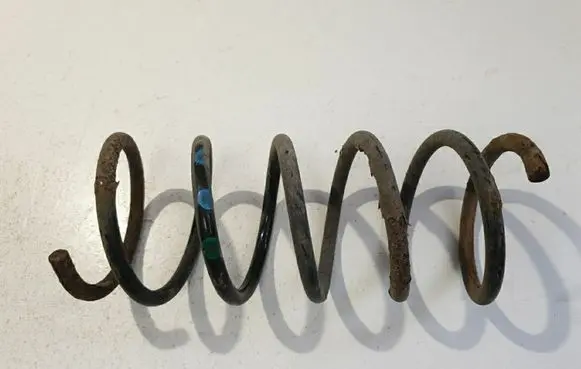 Rear coil spring
