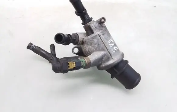 Thermostat/thermostat housing