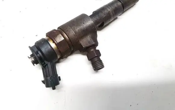 Peugeot 206 Fuel injector 9641496180 0445110075