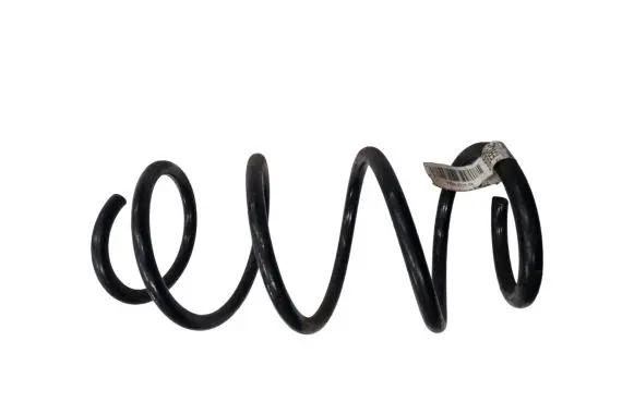 Ford Mustang VI Front coil spring FR3C5310CE