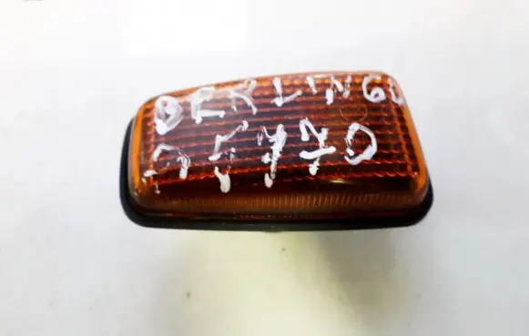 Front fender indicator light