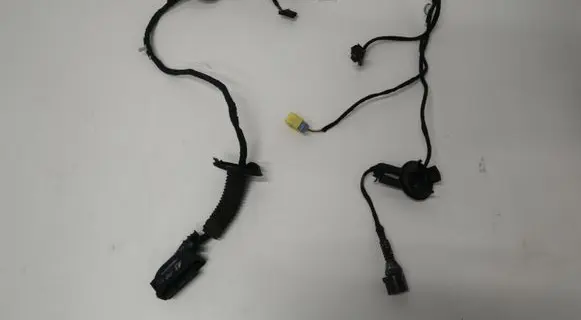 Front door wiring loom