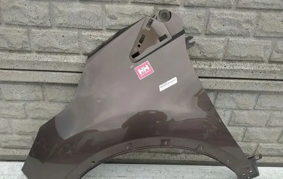 Renault Captur Fender 631018998