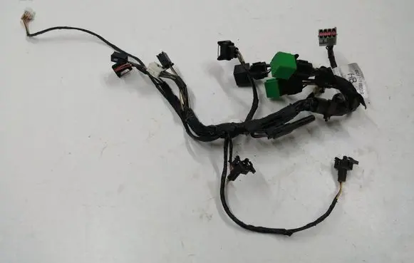 Other wiring loom