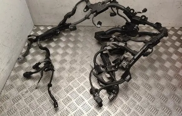 Toyota Prius (XV60) Other wiring loom 8212147500