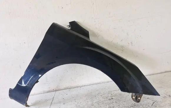 Ford Focus Fender