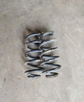 Rear coil spring