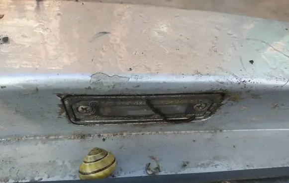 Number plate light