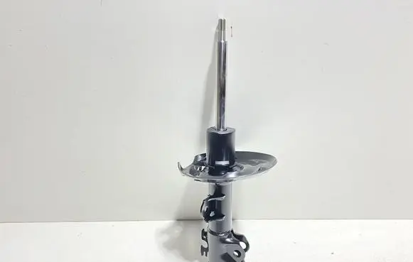 Toyota Prius (XW50) Front shock absorber/damper 4852080492