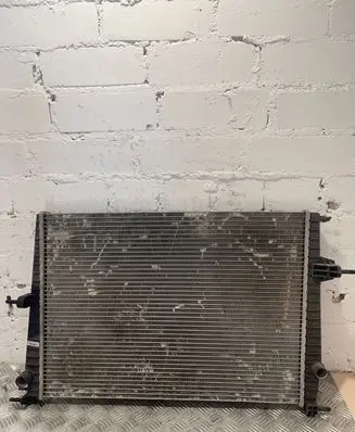 Renault Megane III Coolant radiator 214100067R
